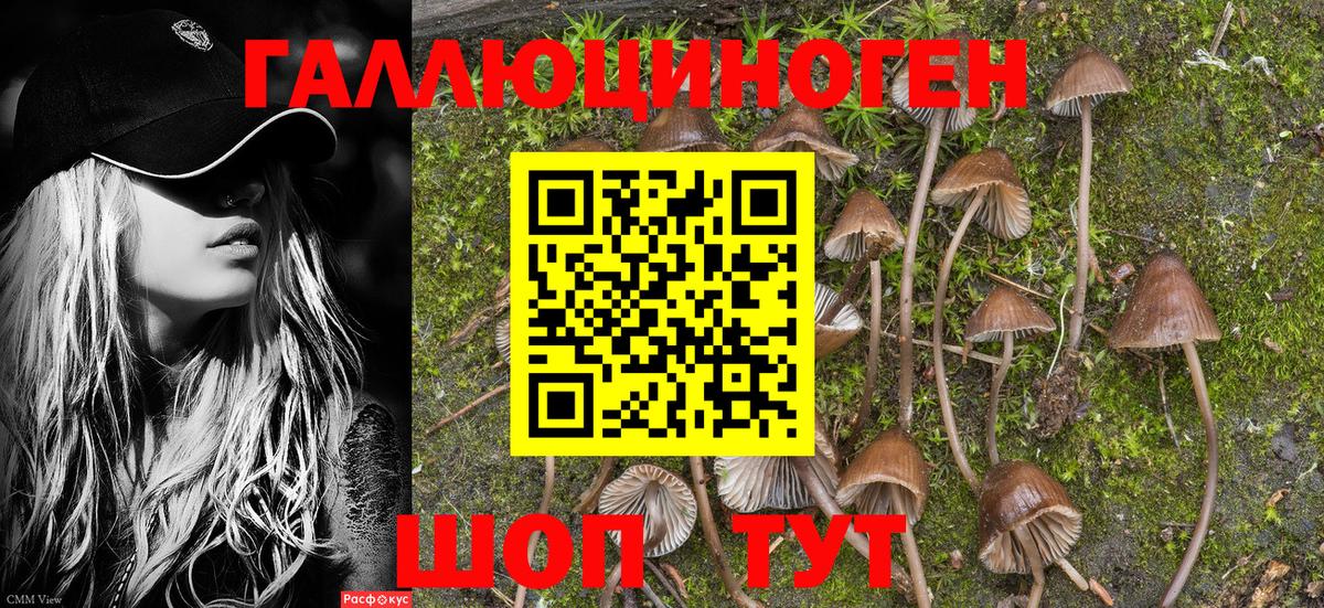 Галлюциногенные грибы прущие грибы  Вход с VPN  Галлюциногенные грибы Magic Shrooms  Щёкино 